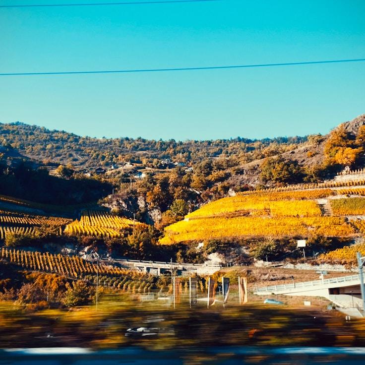 Outdoor terrace seating suitable for families in Lisbon